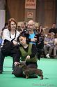 Crufts2011_2 1092